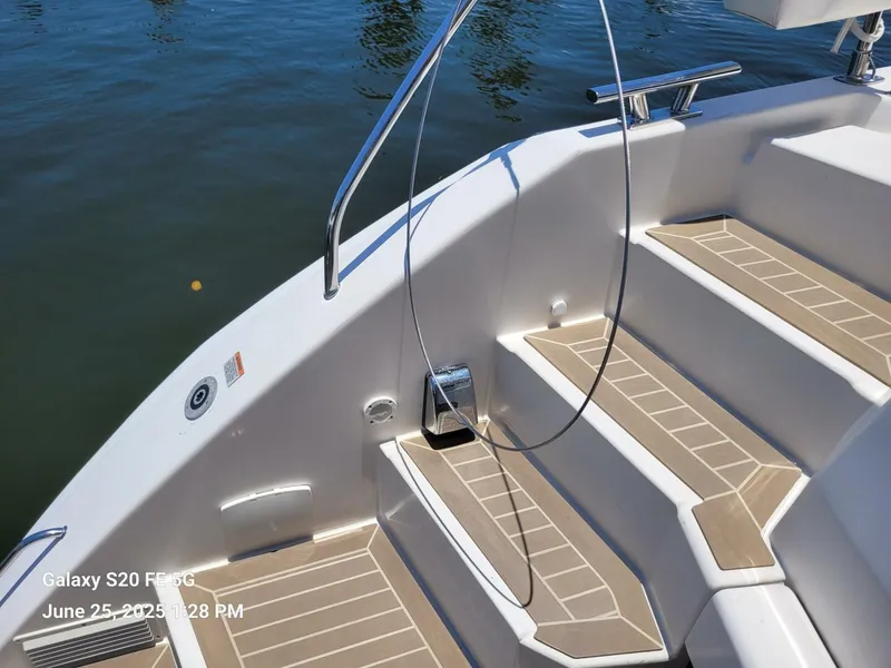 Slide: The Image of Leopard 45 2022 - 5601037