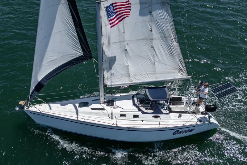 Slide: The Image of Hunter 37 1988 - 5604102