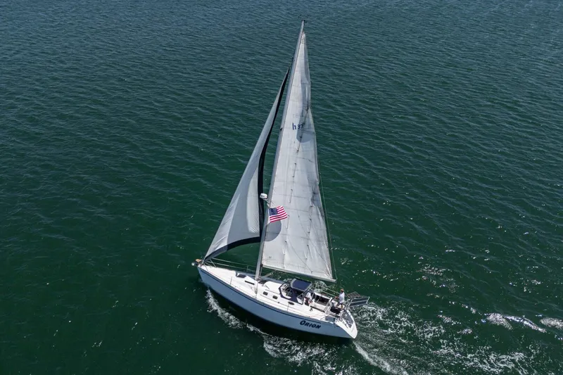 Slide: The Image of Hunter 37 1988 - 5604103