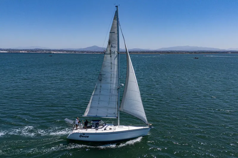 Slide: The Image of Hunter 37 1988 - 5604105