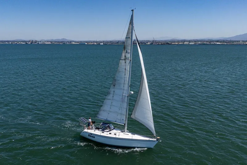 Slide: The Image of Hunter 37 1988 - 5604106