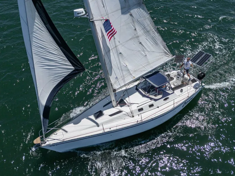 Slide: The Image of Hunter 37 1988 - 5604095