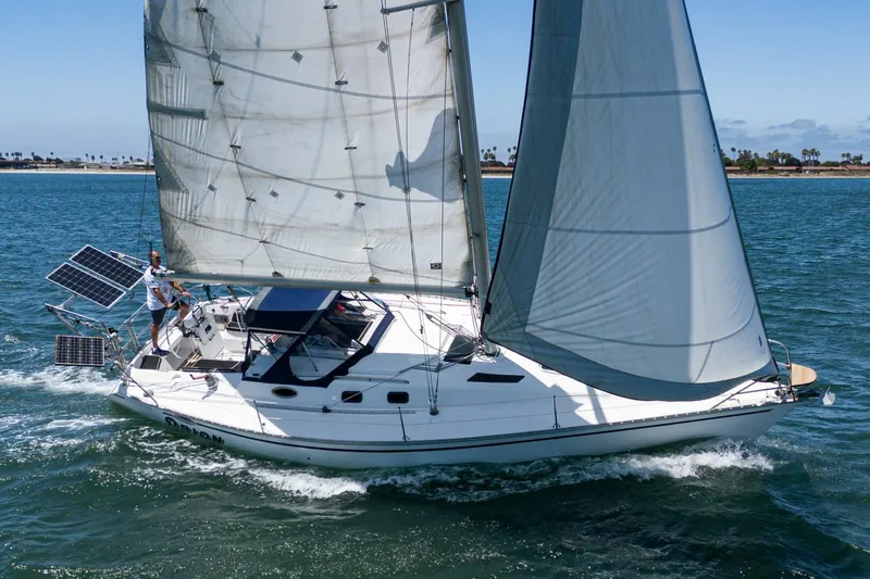 Slide: The Image of Hunter 37 1988 - 5604098