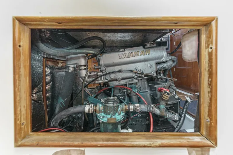 Slide: The Image of Hunter 37 1988 - 5604155