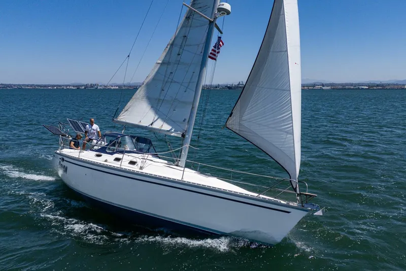 Slide: The Image of Hunter 37 1988 - 5604099