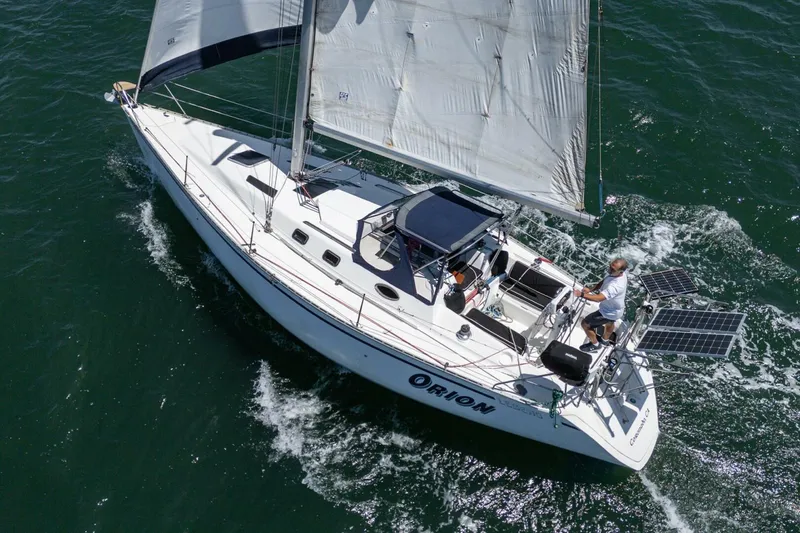 Slide: The Image of Hunter 37 1988 - 5604101