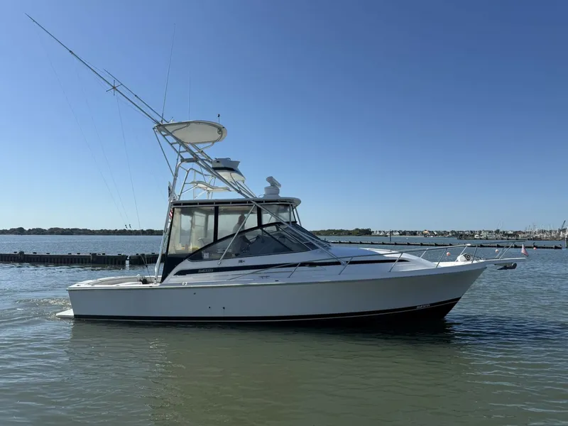 The Image of Blackfin Combi 33 1997 - 5602285