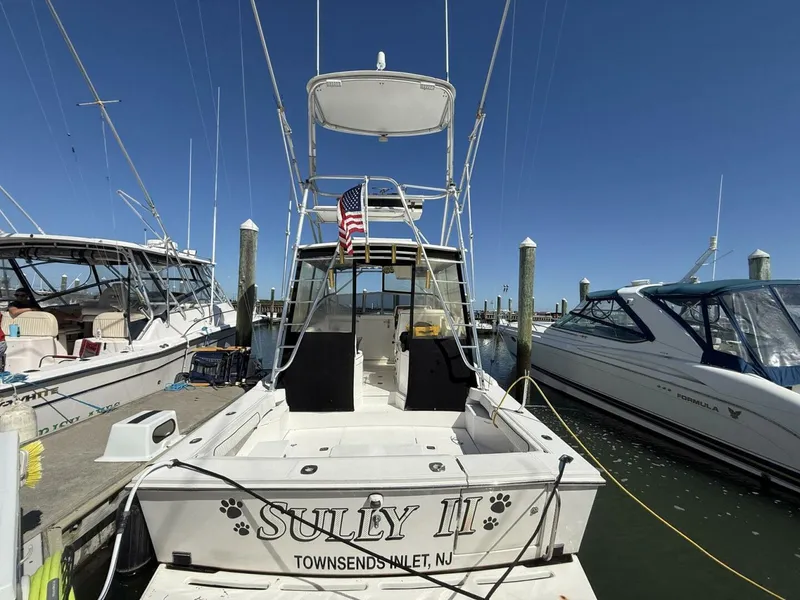 Slide: The Image of Blackfin Combi 33 1997 - 5602347