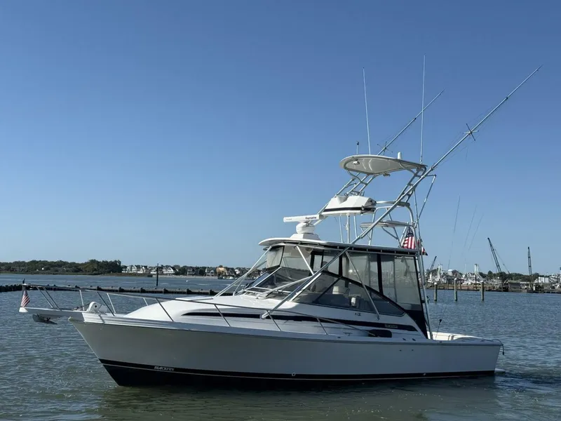 Slide: The Image of Blackfin Combi 33 1997 - 5602301