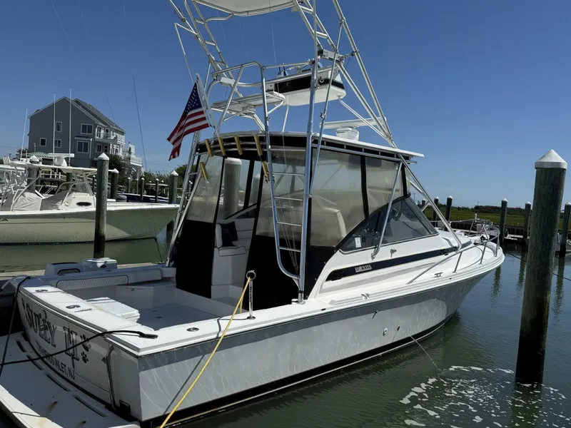 Slide: The Image of Blackfin Combi 33 1997 - 5602350