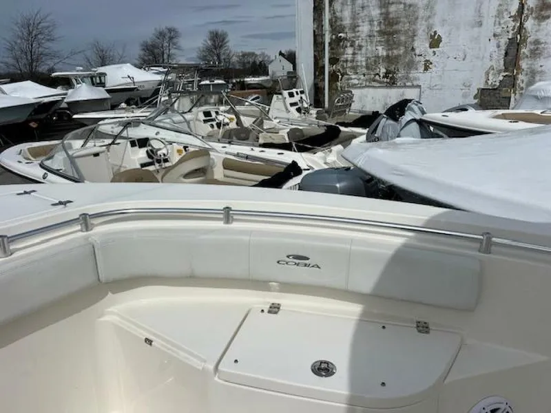 Slide: The Image of Cobia 237 CC 2020 - 5605233