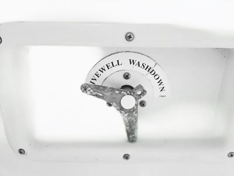 Slide: The Image of Trophy 23 2005 - 5607724