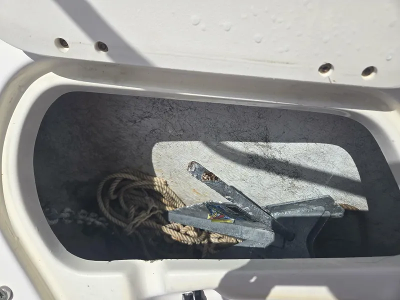 Slide: The Image of Trophy 23 2005 - 5607677