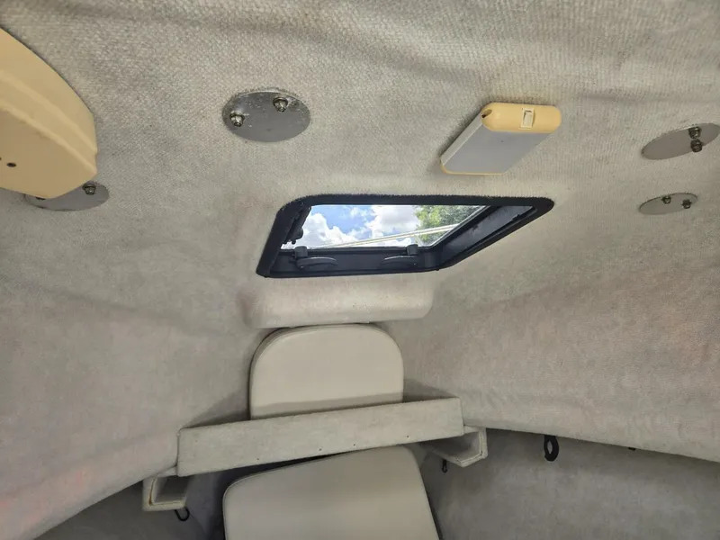 Slide: The Image of Trophy 23 2005 - 5607707