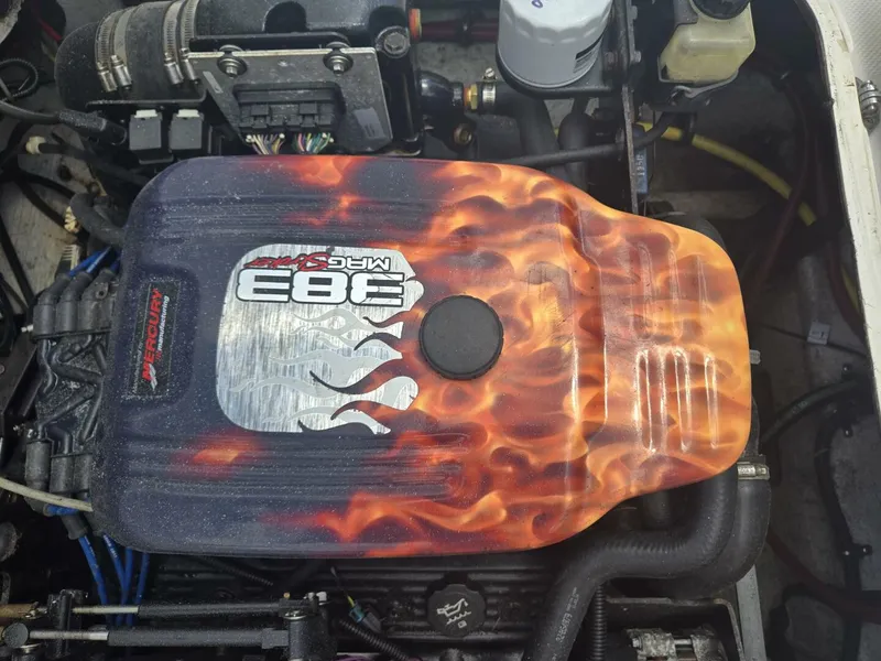 Slide: The Image of Trophy 23 2005 - 5607718