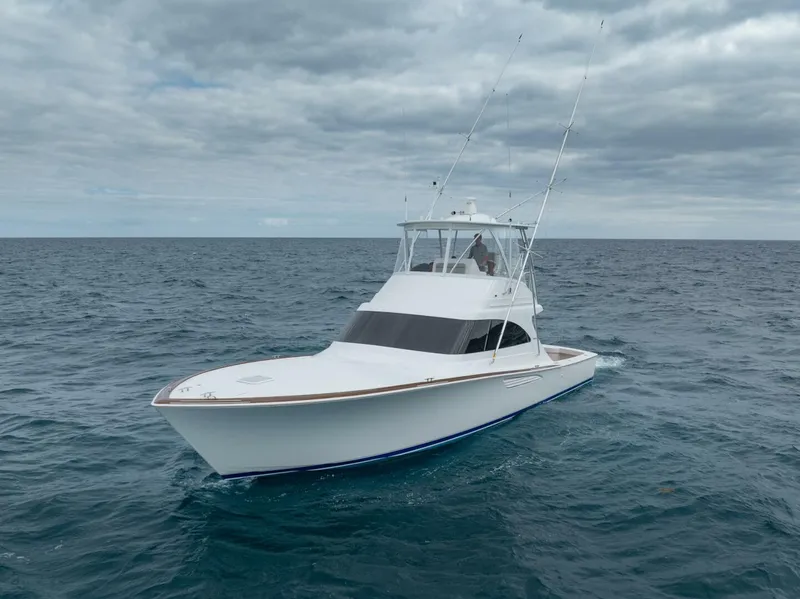 Slide: The Image of Viking 46 Billfish 2026 - 5607757