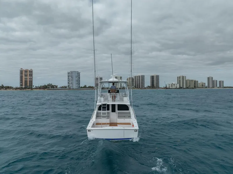 Slide: The Image of Viking 46 Billfish 2026 - 5607759