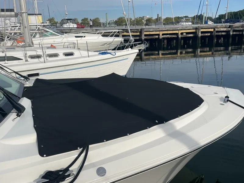 Slide: The Image of Pursuit DC 326 2022 - 5608164