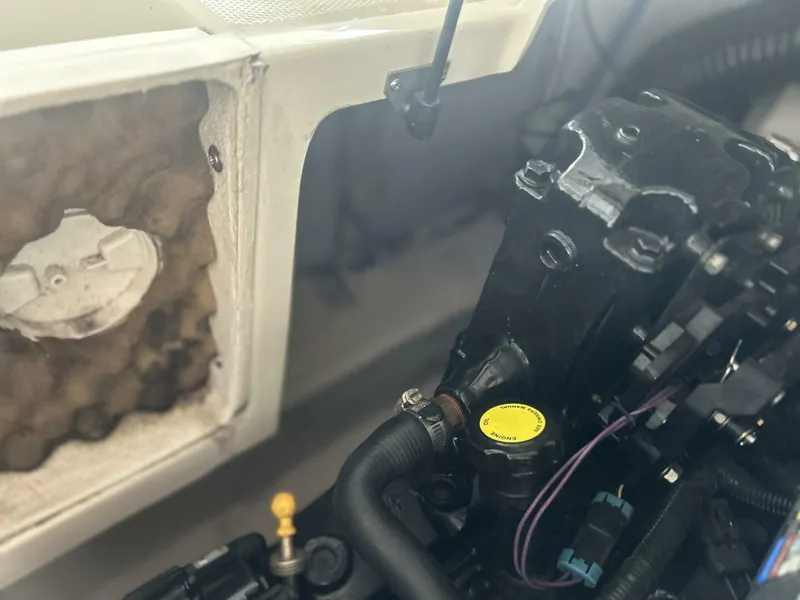 Slide: The Image of Sea Ray 24 2006 - 5609243