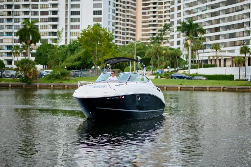 Slide: The Image of Sea Ray 260 Sundancer 2011 - 5609834