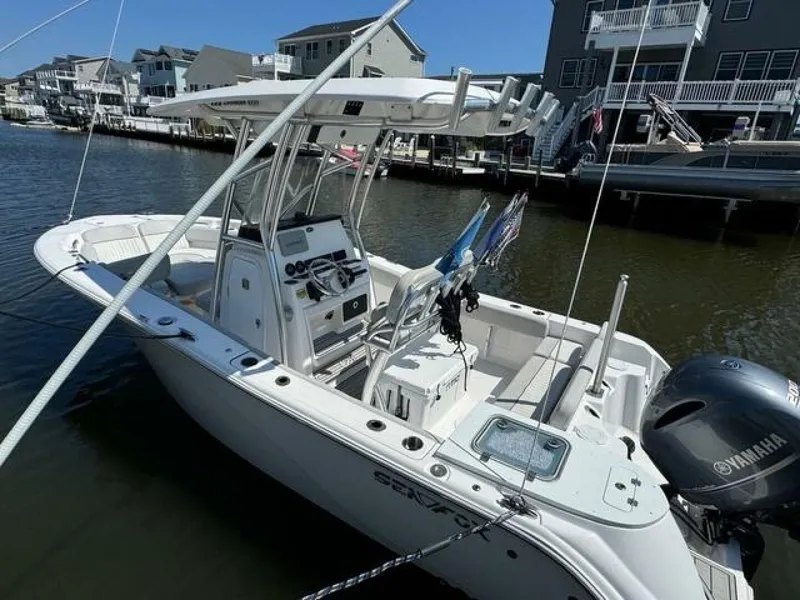 The Image of Sea Fox 228 Commander 2024 - 5712357