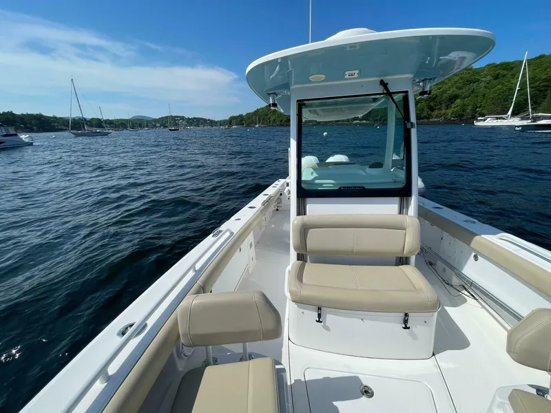 Slide: The Image of Everglades 273 CC 2019 - 5615899