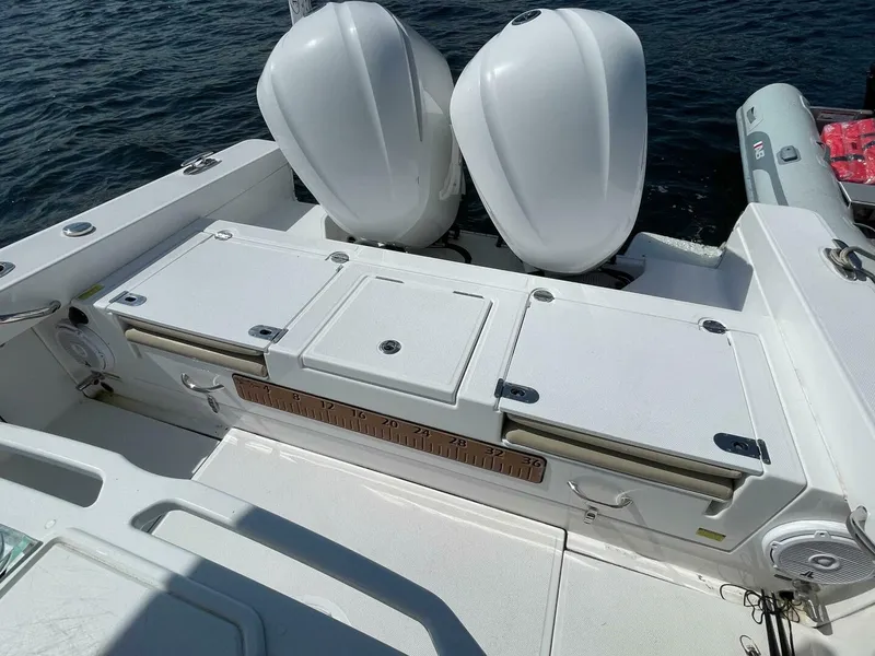 Slide: The Image of Everglades 273 CC 2019 - 5615878