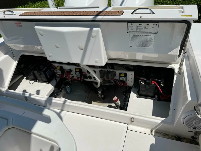 Slide: The Image of Everglades 273 CC 2019 - 5615870