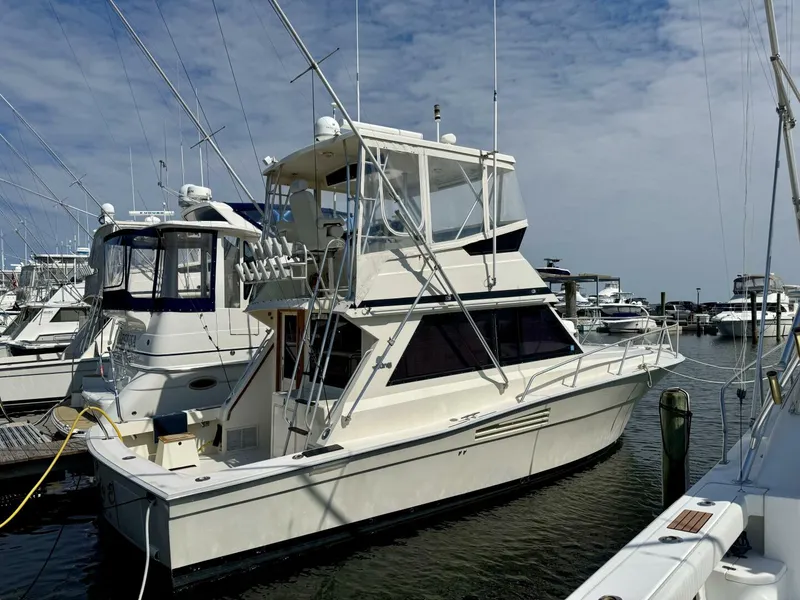 The Image of Viking 35 Convertible 1988 - 5644761