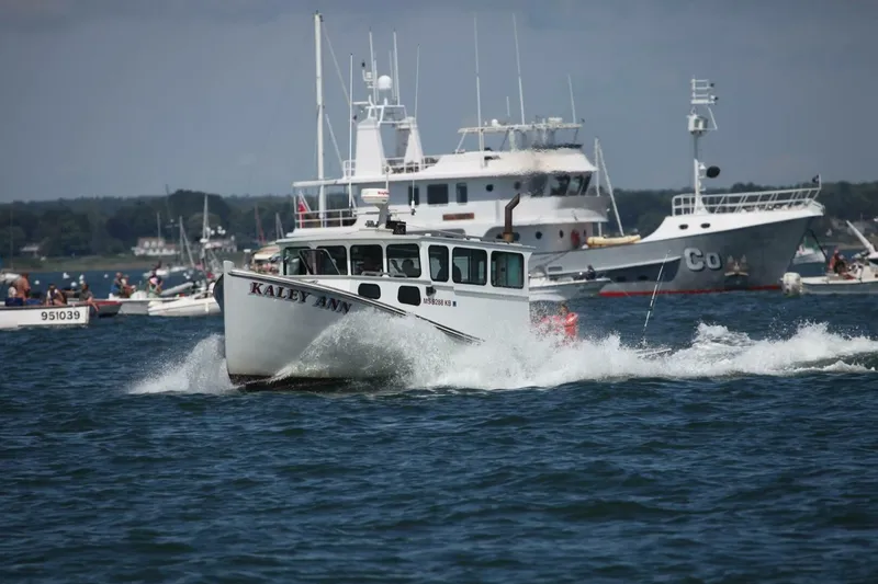 Slide: The Image of Action Shot Underway  - 5615636