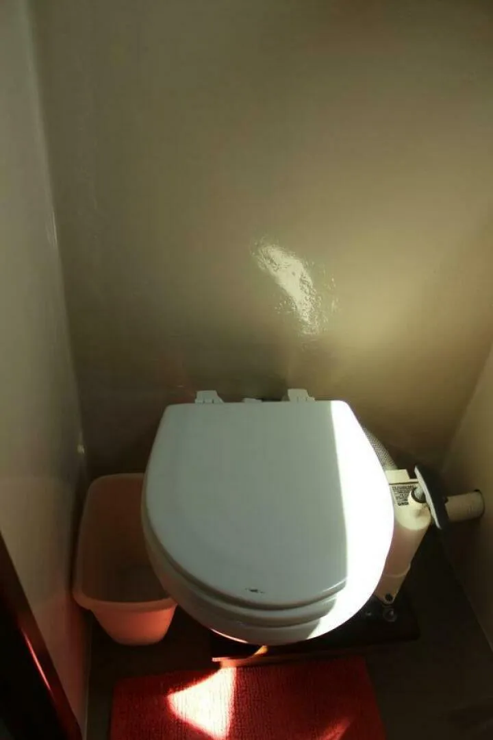 Slide: The Image of Head - 5615693