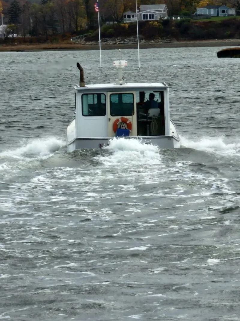 Slide: The Image of Stanley Greenwood Novi 1982 - 5616449