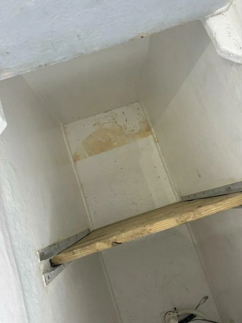 Slide: The Image of Custom Monroe 1987 - 5617888