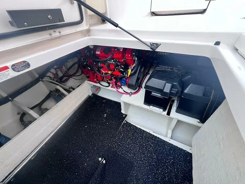 Slide: The Image of 0005355383 - 5618334