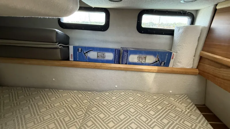 Slide: The Image of Cutwater C-32 CB 2022 - 5619278