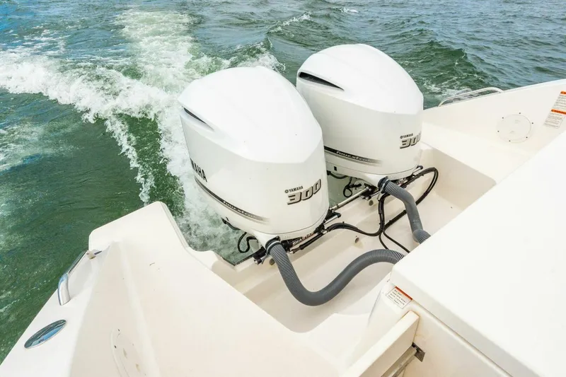 Slide: The Image of Pursuit 295 Dual Console 2019 - 5619546