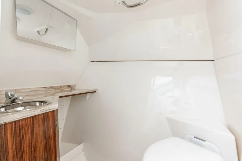 Slide: The Image of Pursuit 295 Dual Console 2019 - 5619564