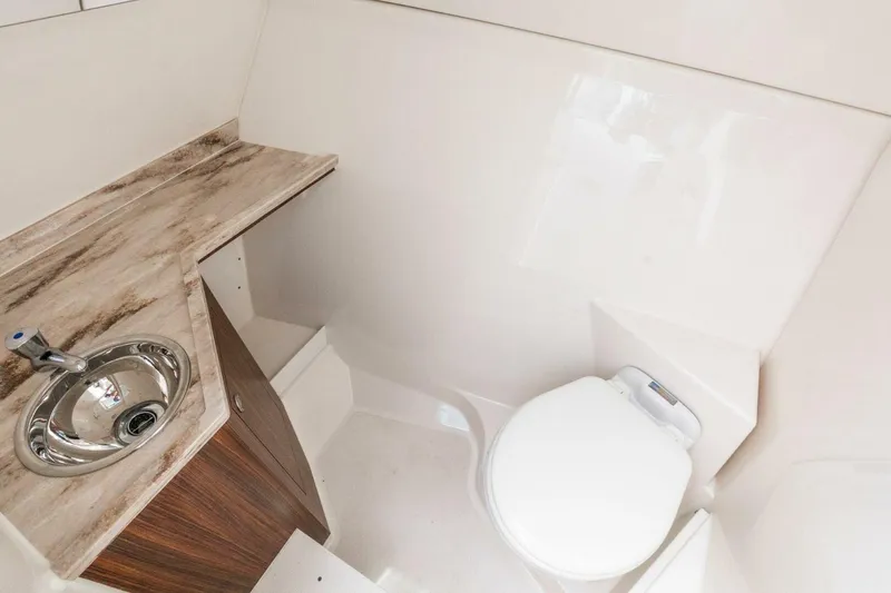 Slide: The Image of Pursuit 295 Dual Console 2019 - 5619565