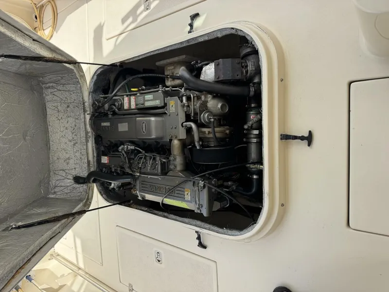 Slide: The Image of Albin Tournament 2003 - 5620991