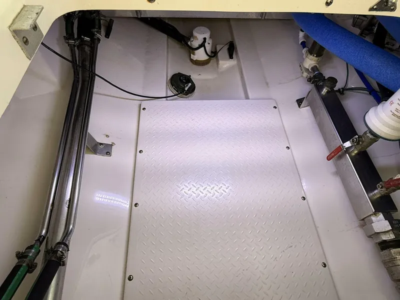 Slide: The Image of Everglades 350 LX 2012 - 5845688