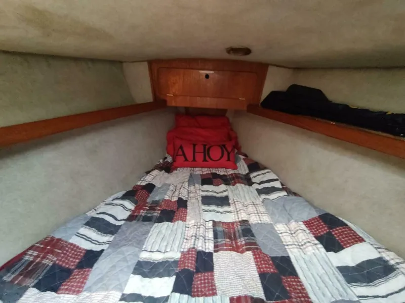 Slide: The Image of Hunter 37 Legend 1987 - 5623481