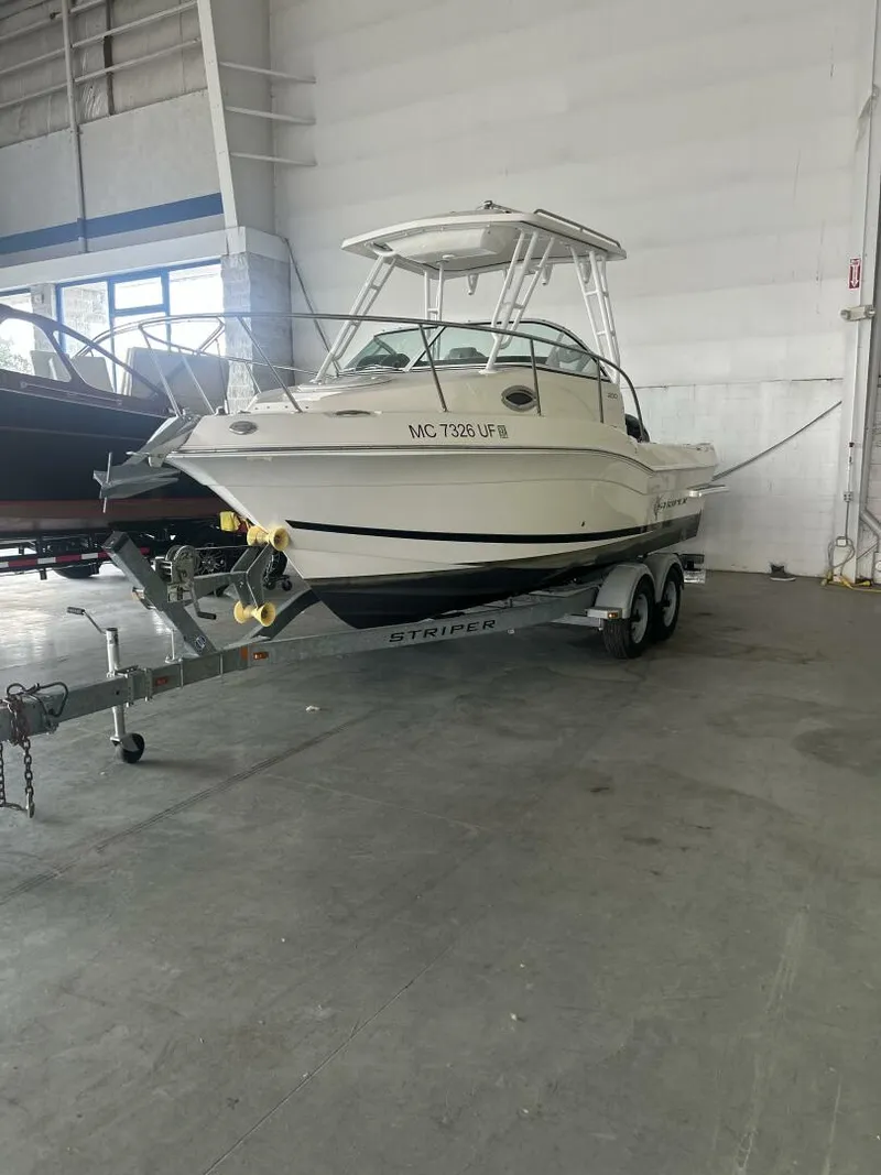 The Image of Striper 20 2016 - 5623930