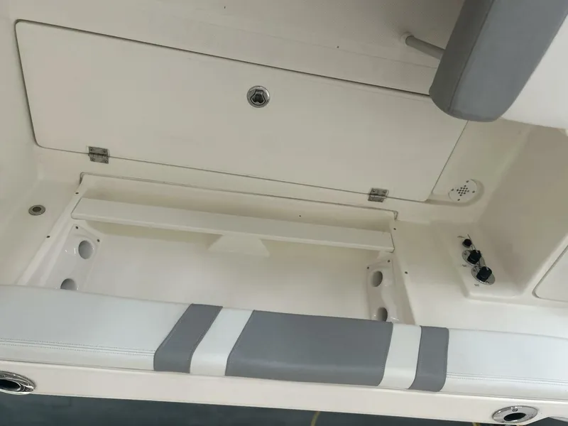 Slide: The Image of Striper 20 2016 - 5623948