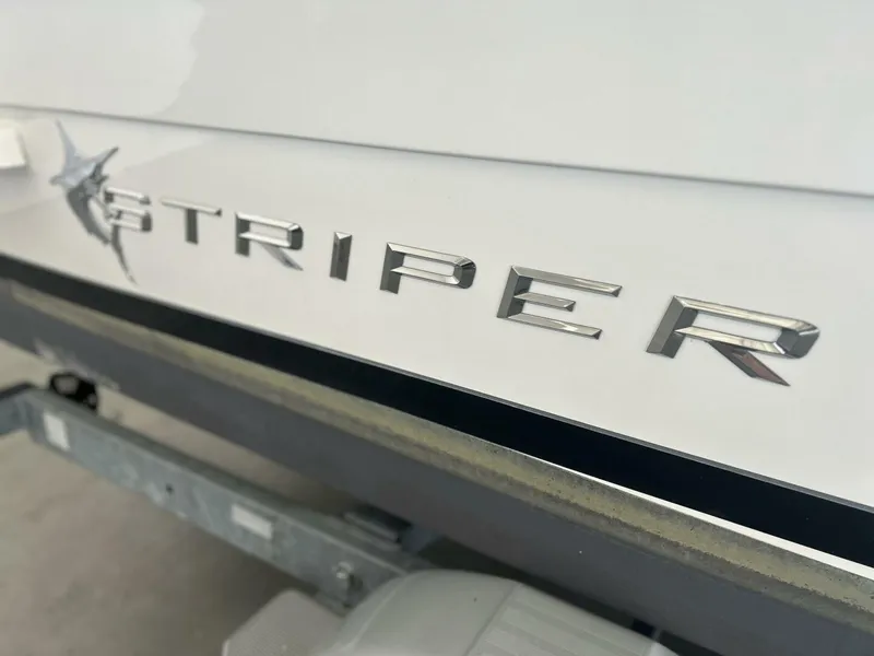 Slide: The Image of Striper 20 2016 - 5623950