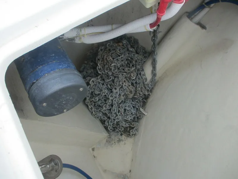 Slide: The Image of Carver 46 2006 - 5626788