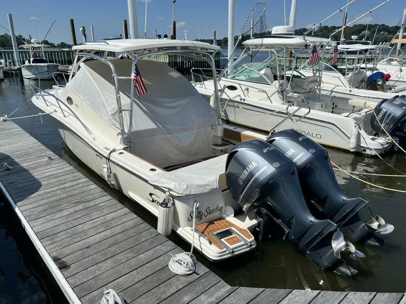 Slide: The Image of Scout 295 Abaco 2008 - 5636680