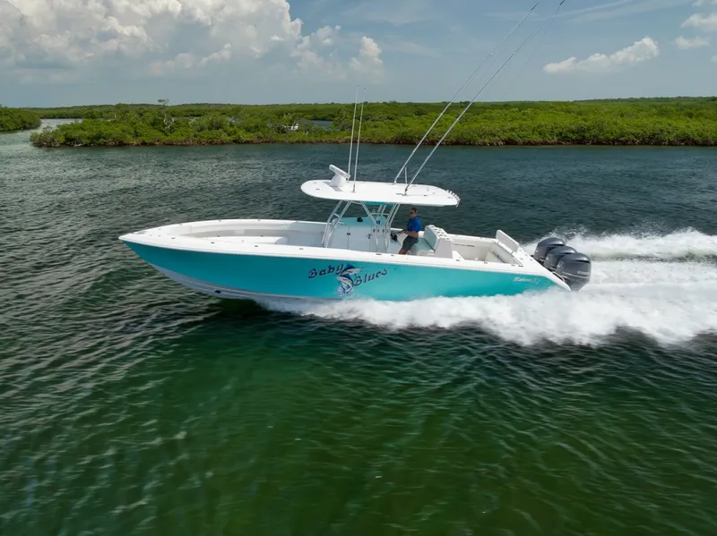 The Image of Bahama 37 2013 - 5629198