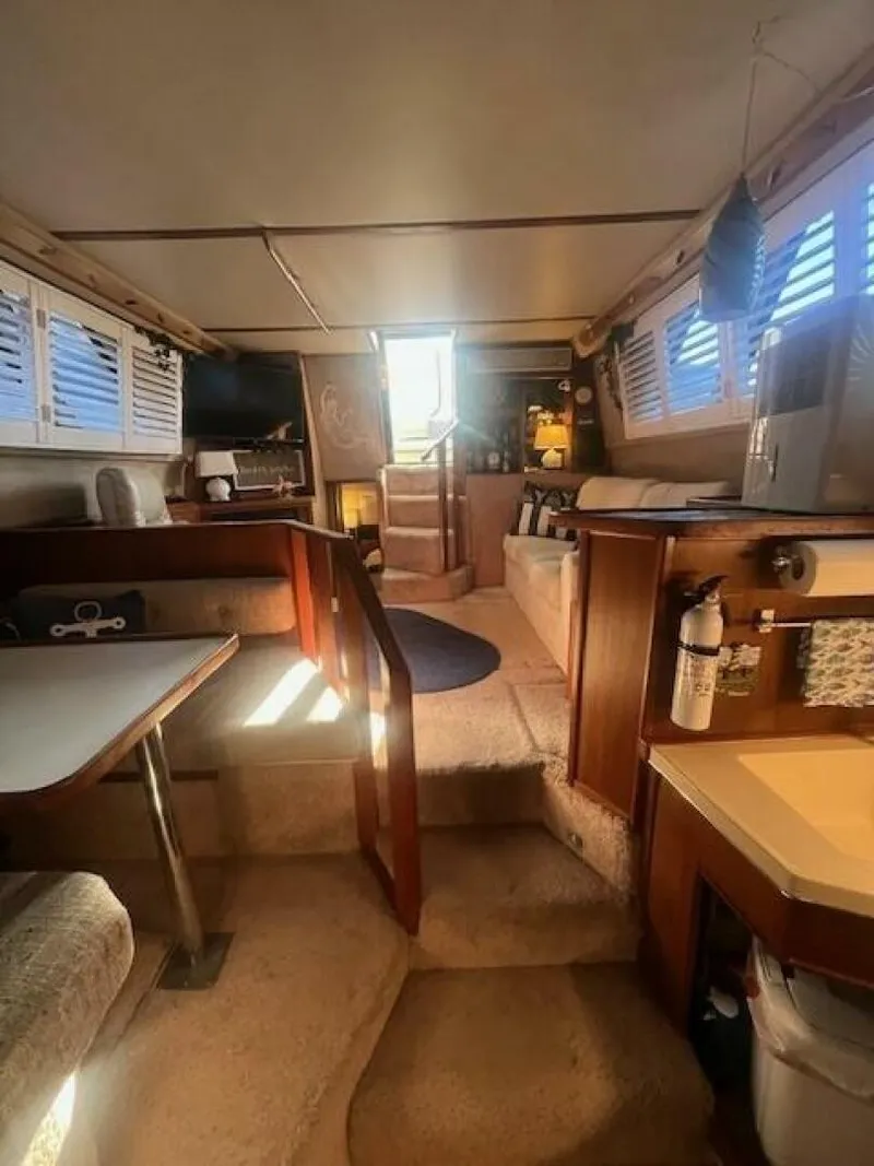 Slide: The Image of Sea Ray 41 1986 - 5718464