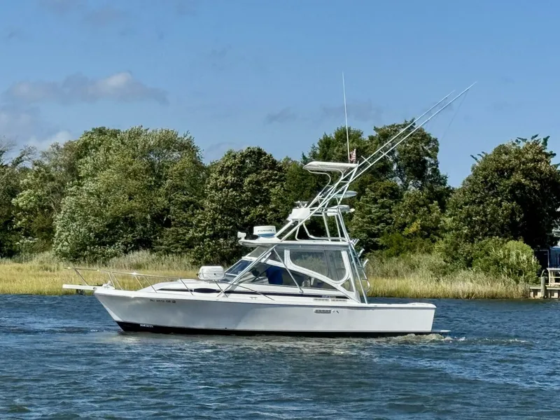 The Image of Blackfin 29 Combi 1997 - 5631942