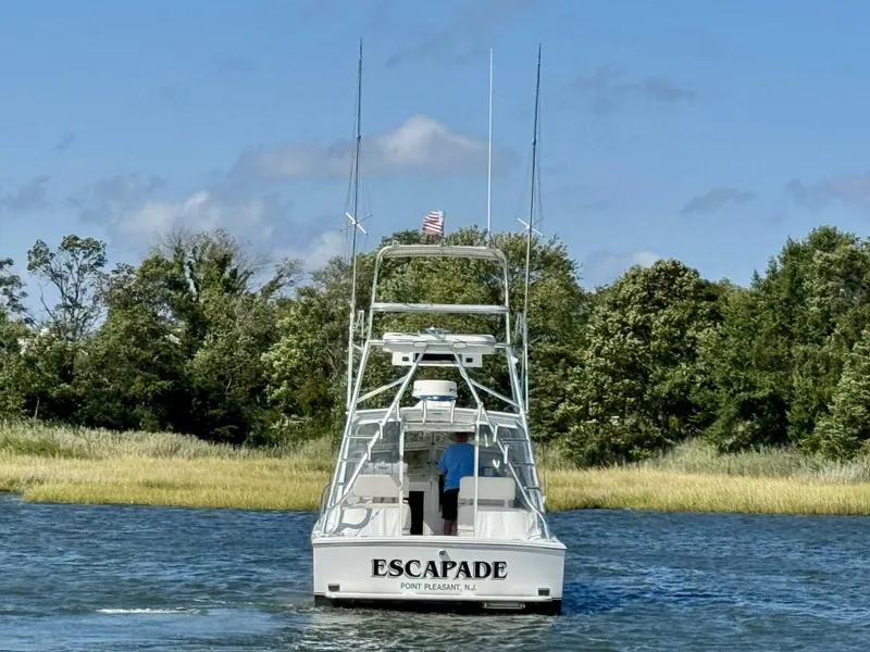 Slide: The Image of Blackfin 29 Combi 1997 - 5631940